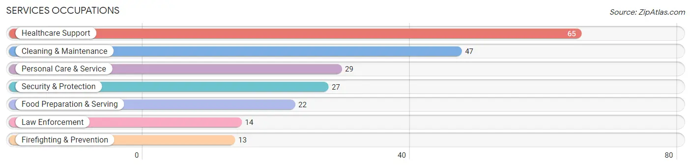 Services Occupations in Zip Code 58563