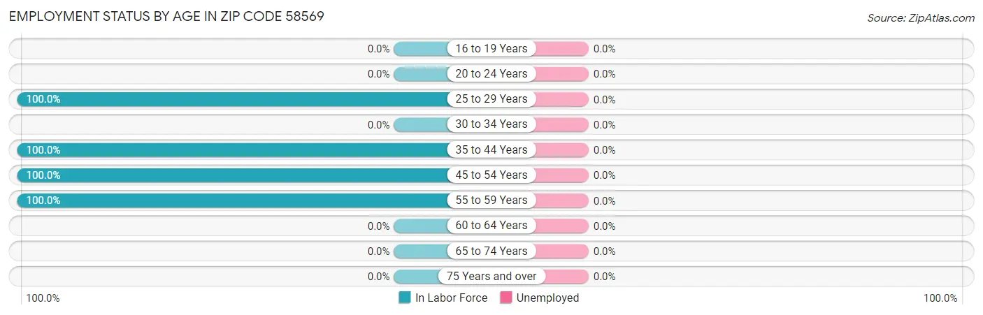 Employment Status by Age in Zip Code 58569