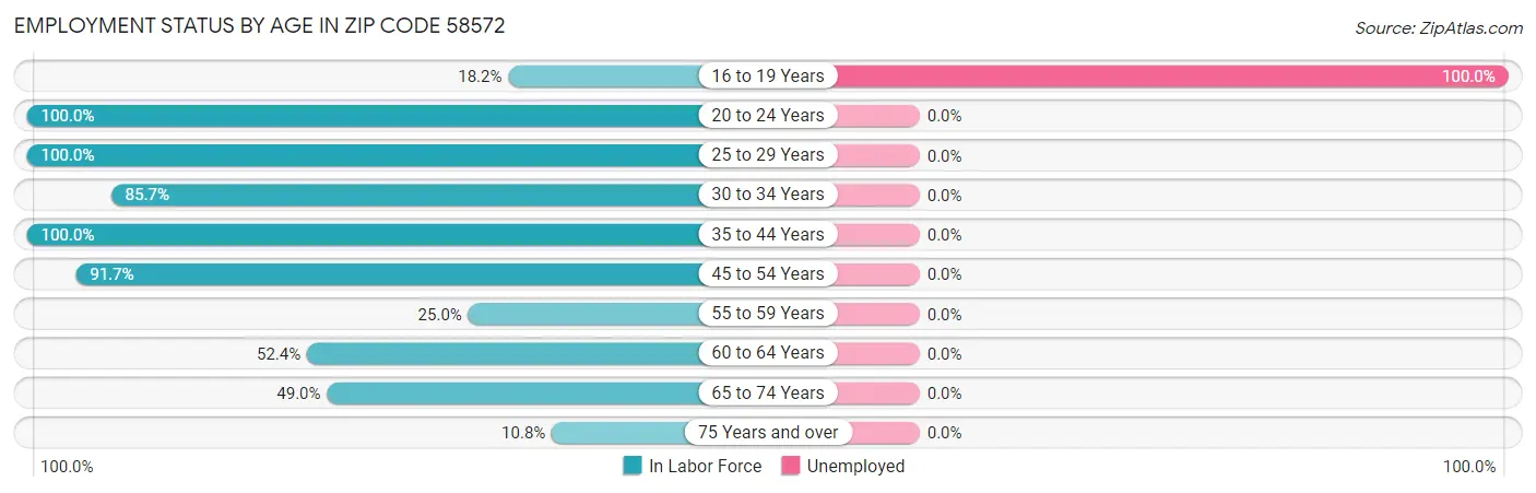 Employment Status by Age in Zip Code 58572