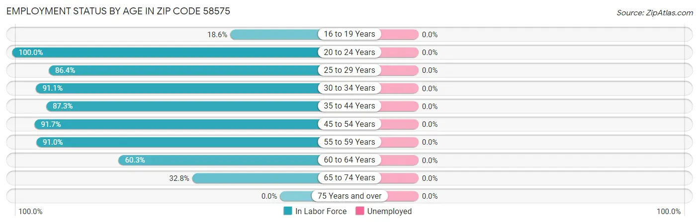 Employment Status by Age in Zip Code 58575
