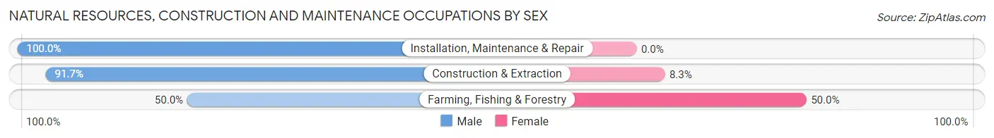 Natural Resources, Construction and Maintenance Occupations by Sex in Zip Code 58581
