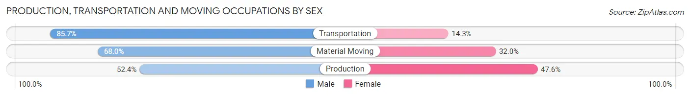 Production, Transportation and Moving Occupations by Sex in Zip Code 58638