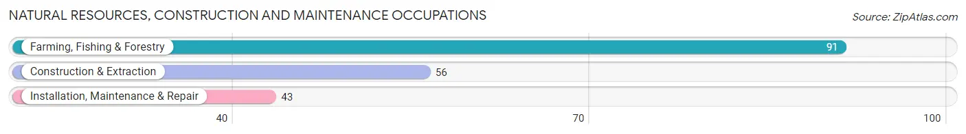 Natural Resources, Construction and Maintenance Occupations in Zip Code 58639