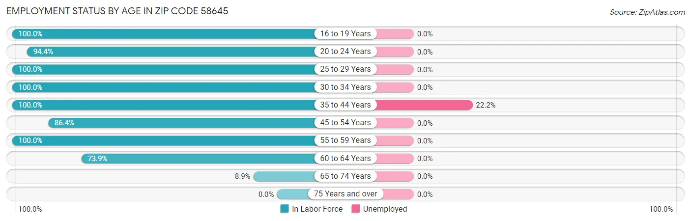 Employment Status by Age in Zip Code 58645