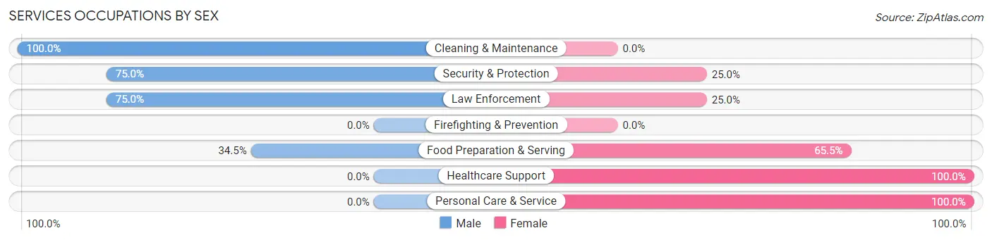 Services Occupations by Sex in Zip Code 58646