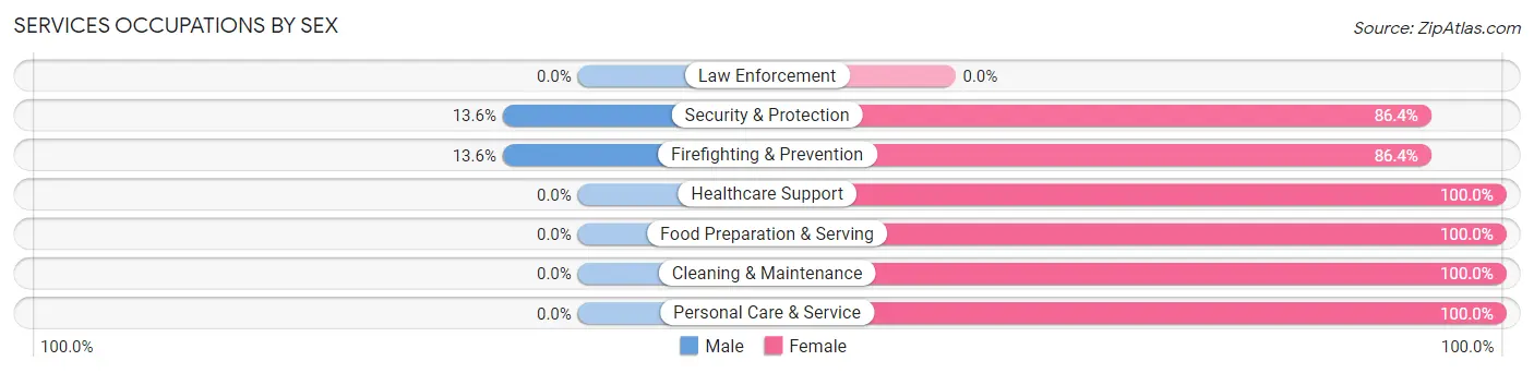 Services Occupations by Sex in Zip Code 58647