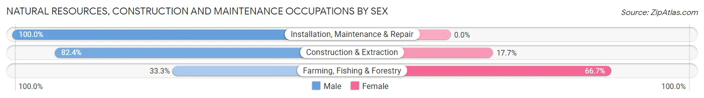 Natural Resources, Construction and Maintenance Occupations by Sex in Zip Code 58650