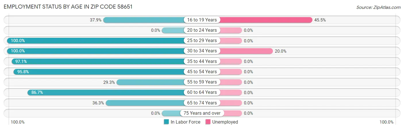 Employment Status by Age in Zip Code 58651
