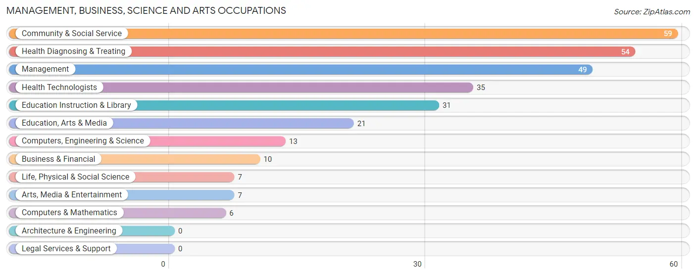 Management, Business, Science and Arts Occupations in Zip Code 58704