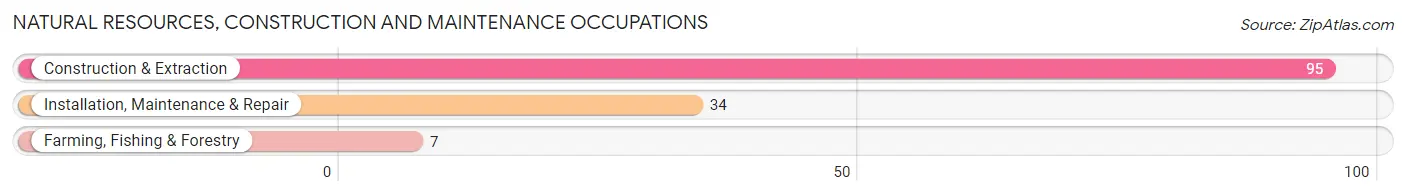 Natural Resources, Construction and Maintenance Occupations in Zip Code 58722