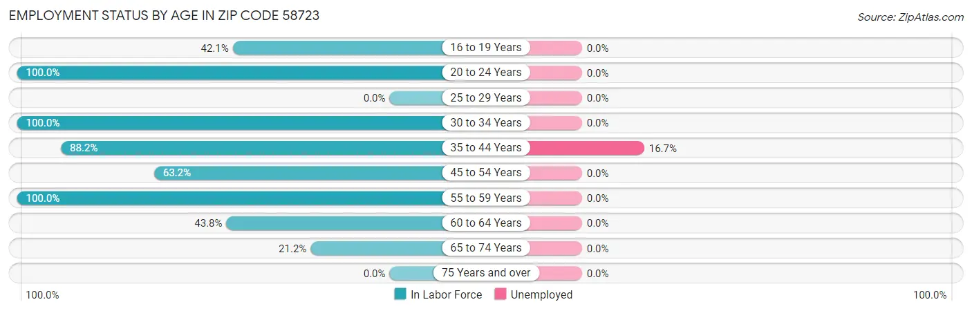 Employment Status by Age in Zip Code 58723