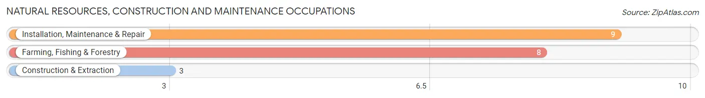 Natural Resources, Construction and Maintenance Occupations in Zip Code 58723