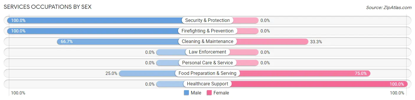 Services Occupations by Sex in Zip Code 58725