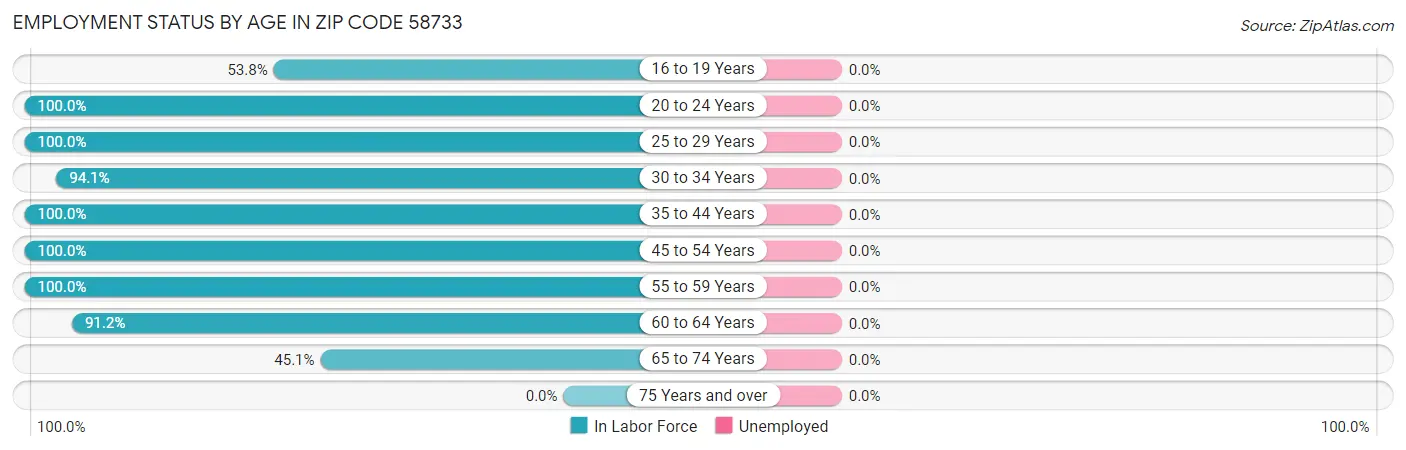 Employment Status by Age in Zip Code 58733