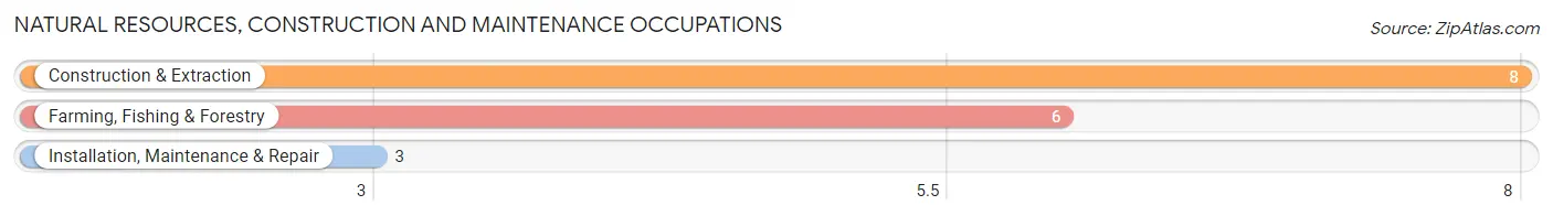 Natural Resources, Construction and Maintenance Occupations in Zip Code 58734