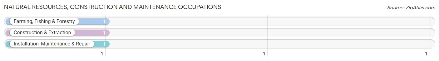 Natural Resources, Construction and Maintenance Occupations in Zip Code 58735