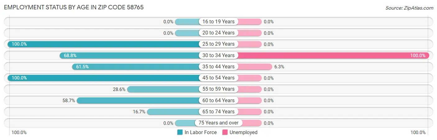Employment Status by Age in Zip Code 58765