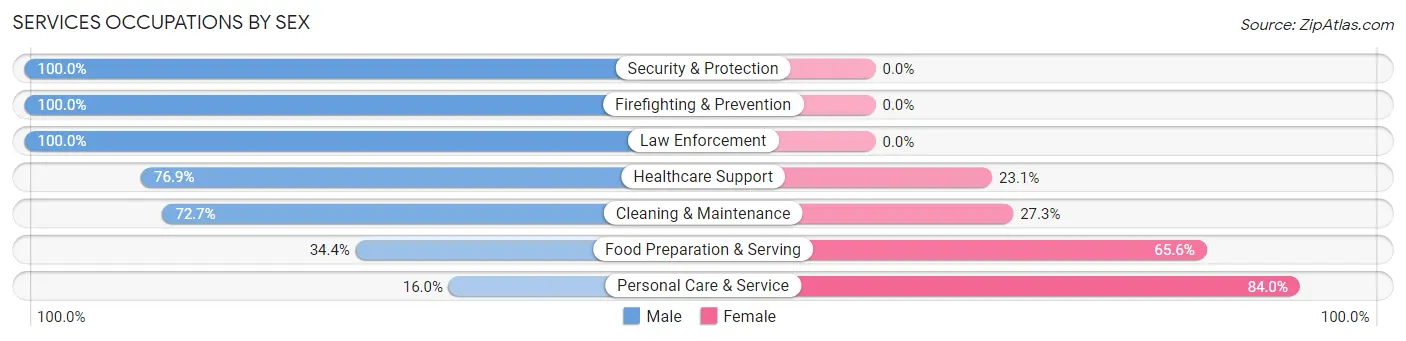 Services Occupations by Sex in Zip Code 58770