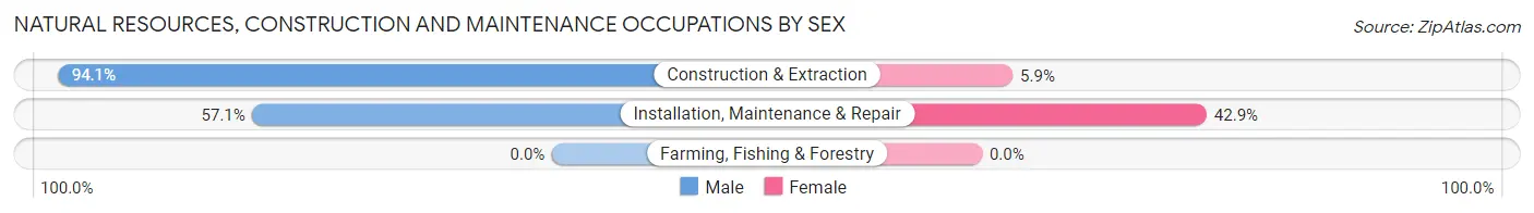Natural Resources, Construction and Maintenance Occupations by Sex in Zip Code 58781