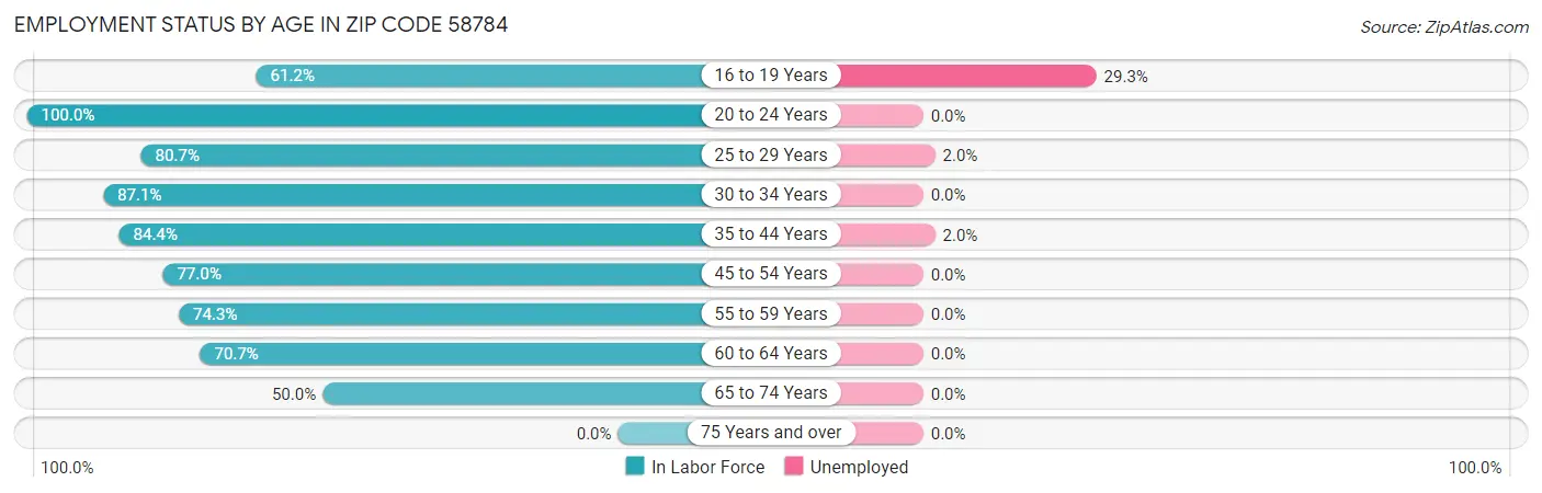 Employment Status by Age in Zip Code 58784