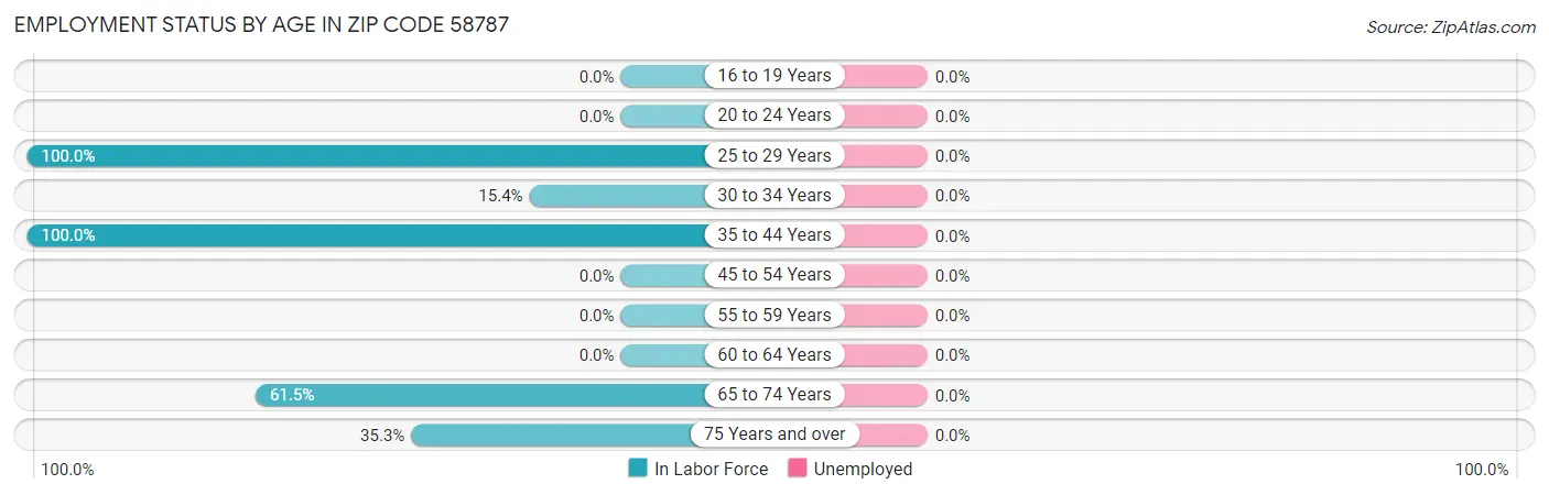 Employment Status by Age in Zip Code 58787