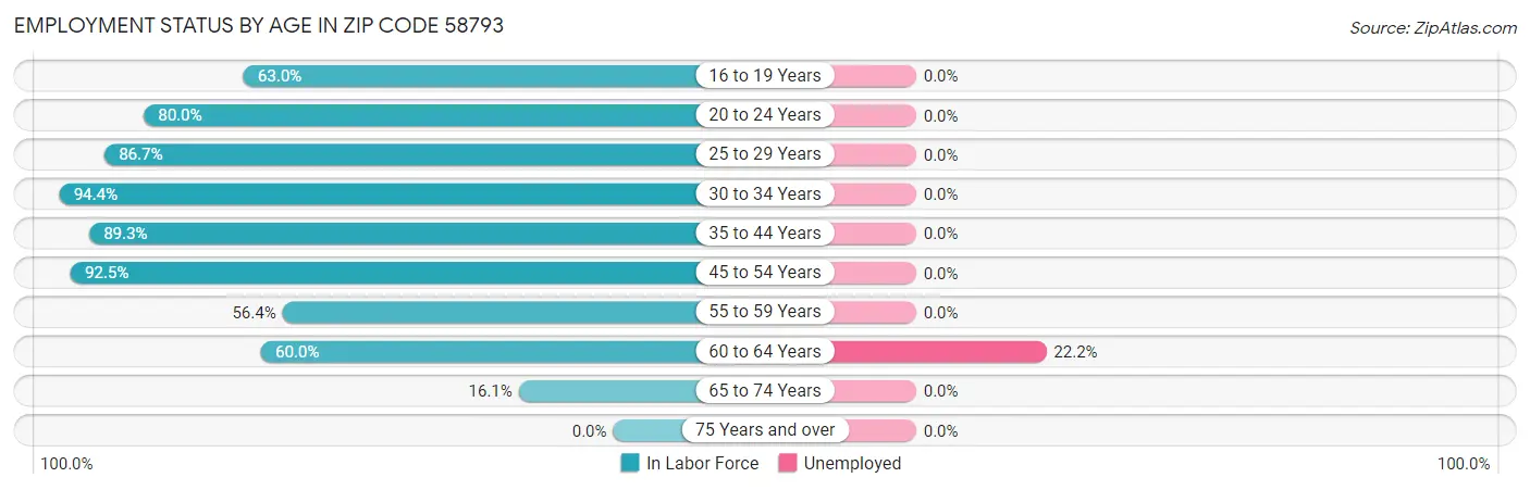 Employment Status by Age in Zip Code 58793