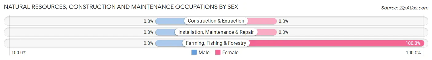 Natural Resources, Construction and Maintenance Occupations by Sex in Zip Code 58833