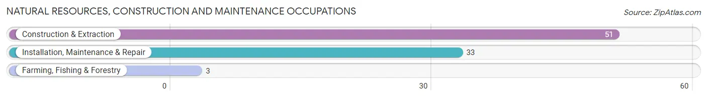 Natural Resources, Construction and Maintenance Occupations in Zip Code 58835