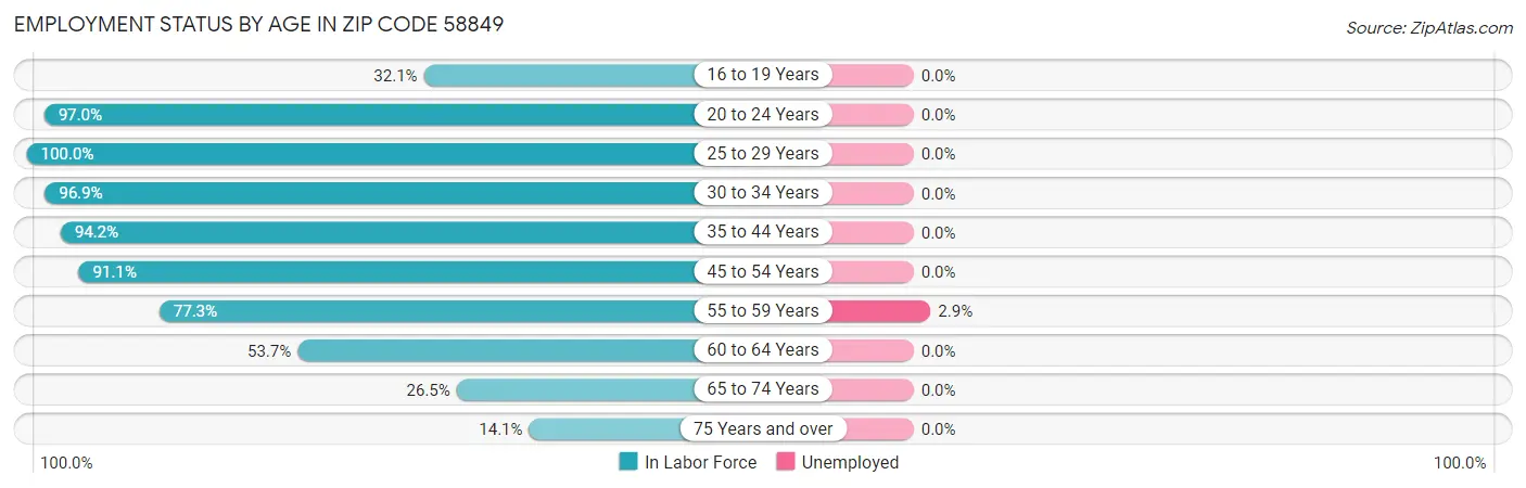 Employment Status by Age in Zip Code 58849