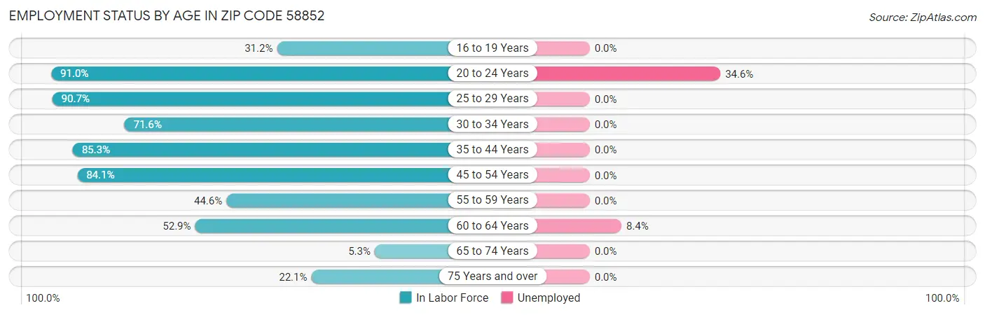 Employment Status by Age in Zip Code 58852