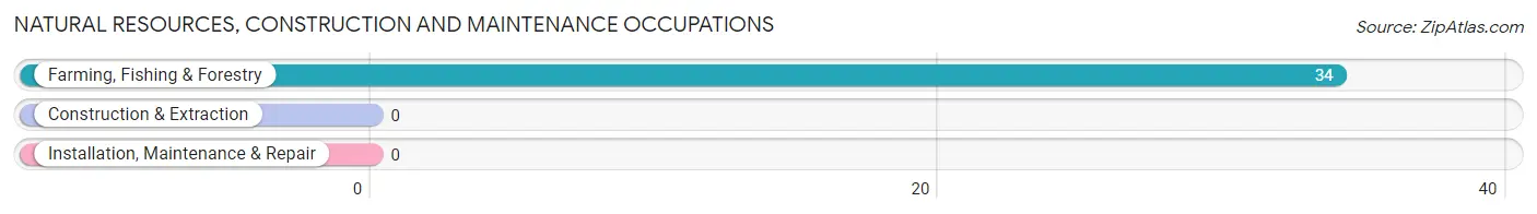 Natural Resources, Construction and Maintenance Occupations in Zip Code 59010