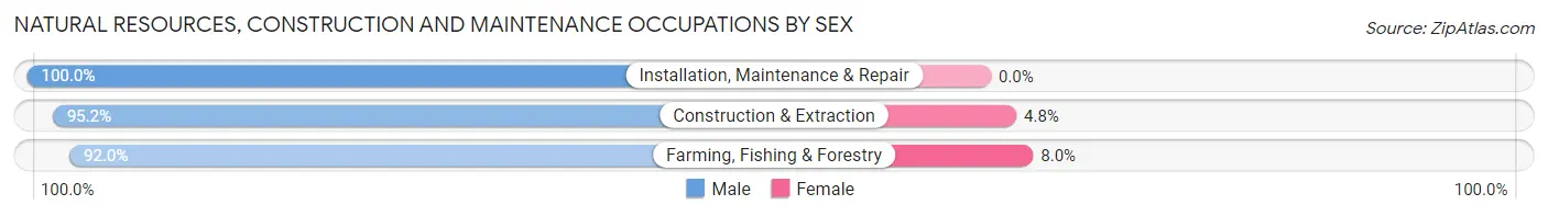 Natural Resources, Construction and Maintenance Occupations by Sex in Zip Code 59036