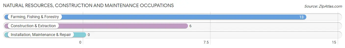 Natural Resources, Construction and Maintenance Occupations in Zip Code 59055