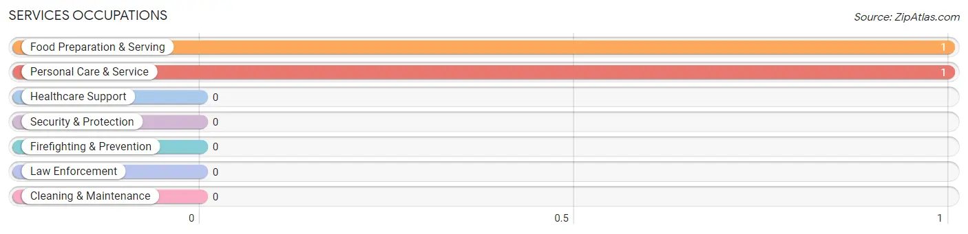 Services Occupations in Zip Code 59055