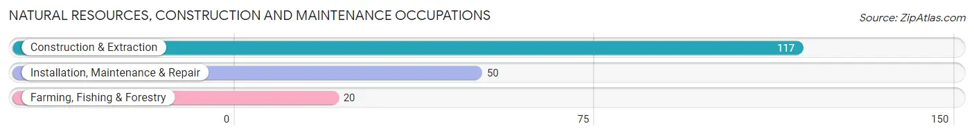 Natural Resources, Construction and Maintenance Occupations in Zip Code 59070