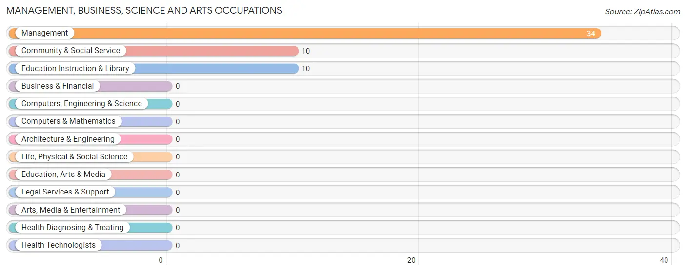 Management, Business, Science and Arts Occupations in Zip Code 59078