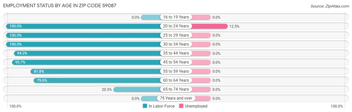 Employment Status by Age in Zip Code 59087