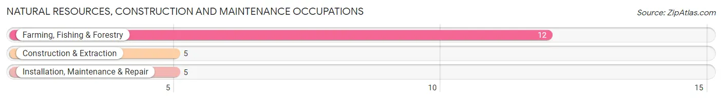 Natural Resources, Construction and Maintenance Occupations in Zip Code 59089