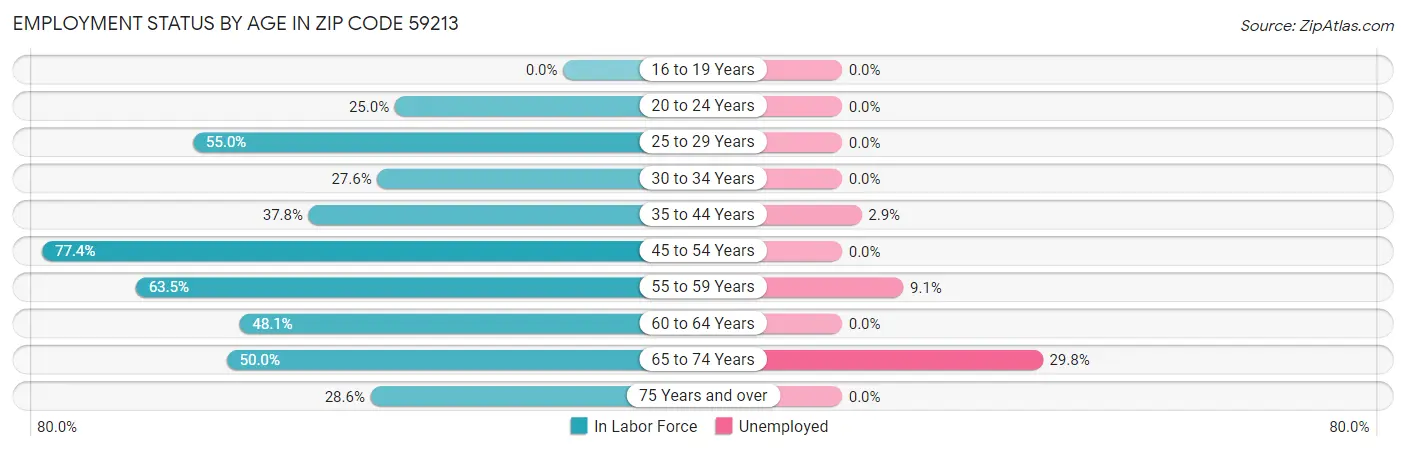 Employment Status by Age in Zip Code 59213