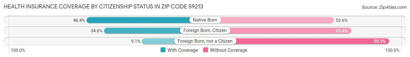 Health Insurance Coverage by Citizenship Status in Zip Code 59213