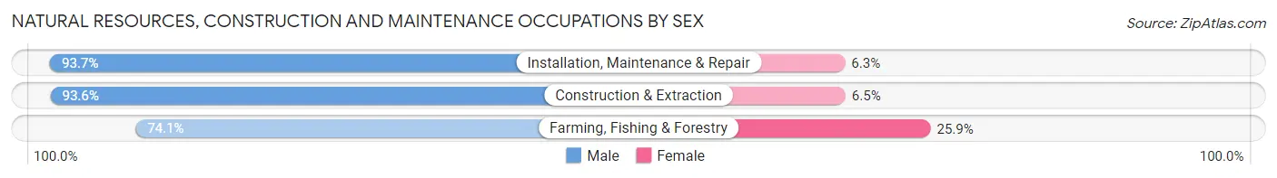 Natural Resources, Construction and Maintenance Occupations by Sex in Zip Code 59230