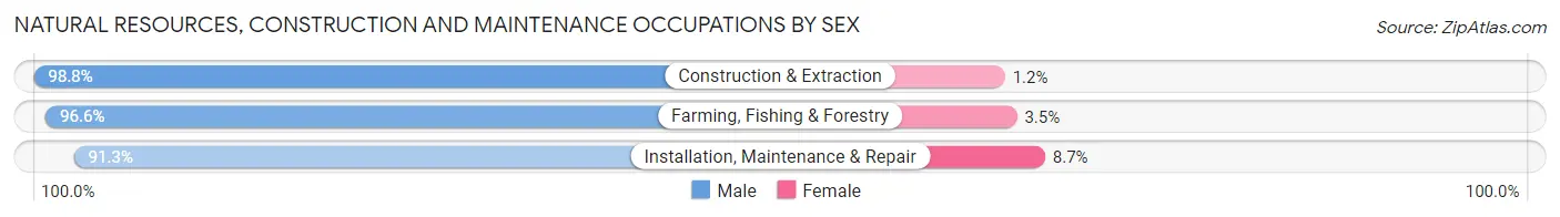 Natural Resources, Construction and Maintenance Occupations by Sex in Zip Code 59270