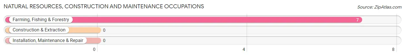 Natural Resources, Construction and Maintenance Occupations in Zip Code 59274