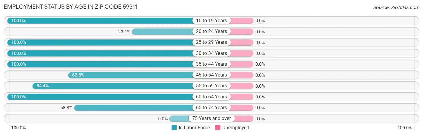 Employment Status by Age in Zip Code 59311