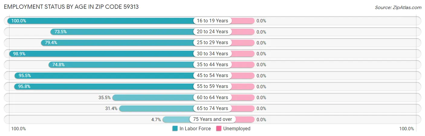 Employment Status by Age in Zip Code 59313