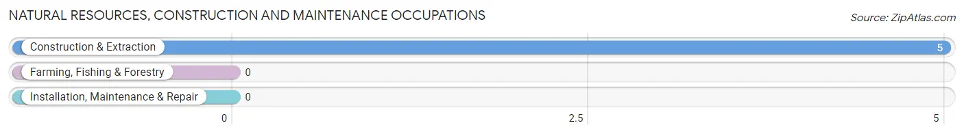 Natural Resources, Construction and Maintenance Occupations in Zip Code 59315