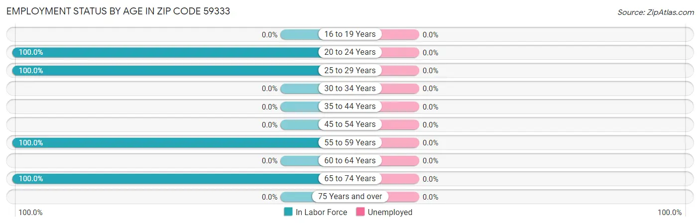 Employment Status by Age in Zip Code 59333