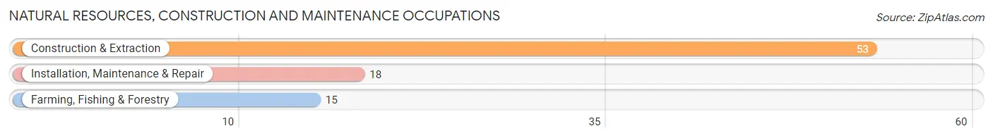 Natural Resources, Construction and Maintenance Occupations in Zip Code 59412