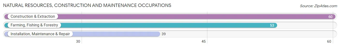 Natural Resources, Construction and Maintenance Occupations in Zip Code 59422