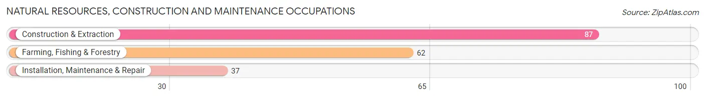 Natural Resources, Construction and Maintenance Occupations in Zip Code 59436